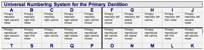 Universal Shorthand Primary Teeth Table.png